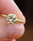 GR425 | Champagne Florentine Diamond