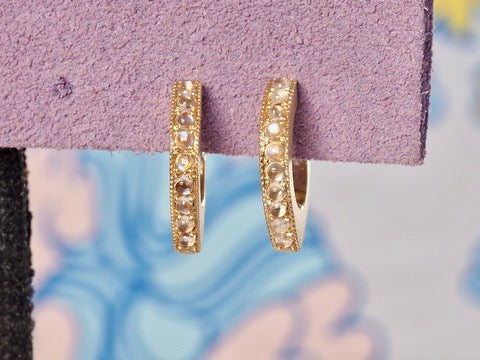 HD 101 | Moonstone Slice Earrings