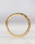 Fan Ring