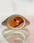 GR411 | Montana Agate Galileo Ring