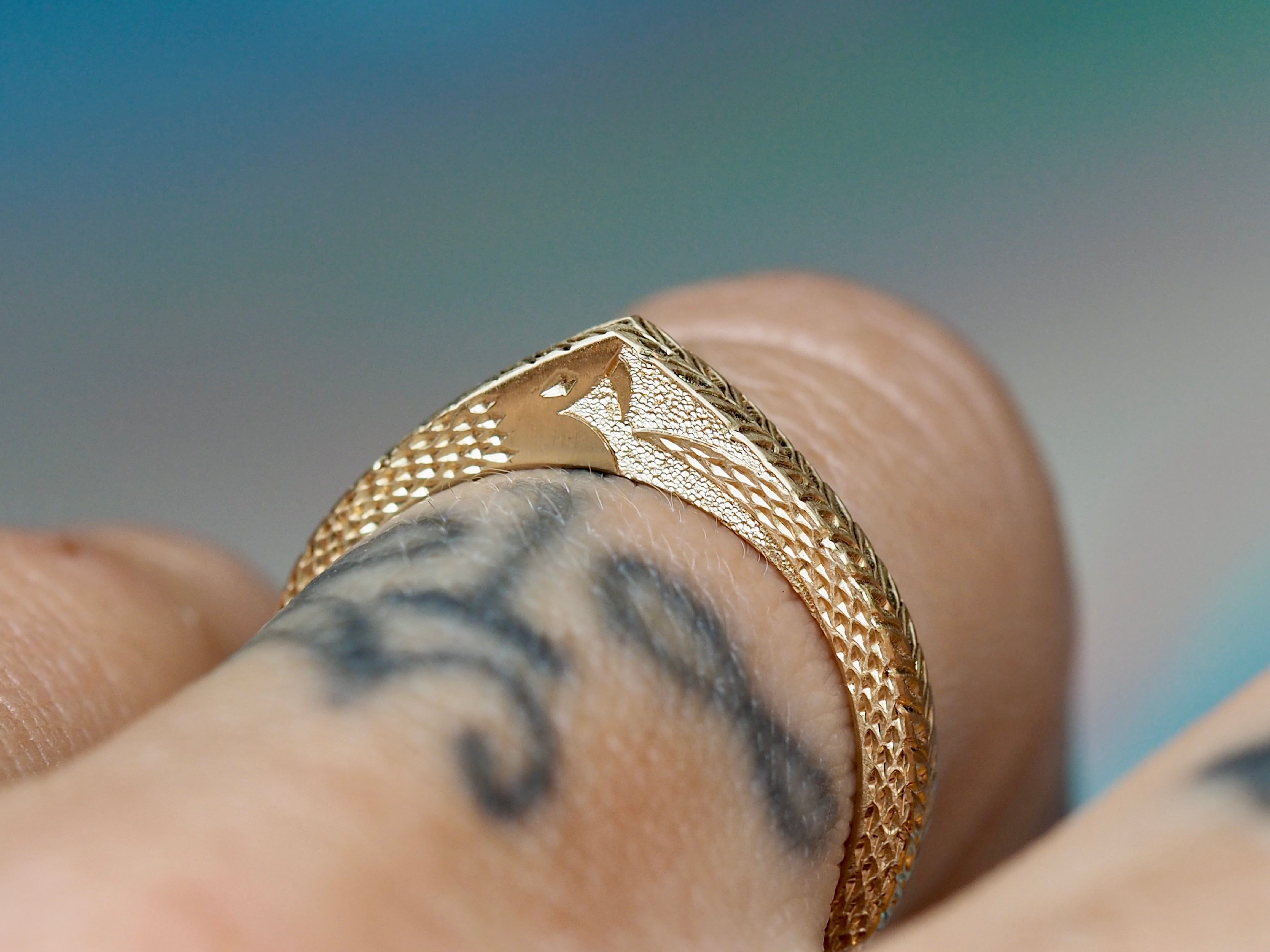 Snake | Engraved Slice Ring – Pieces of Starr